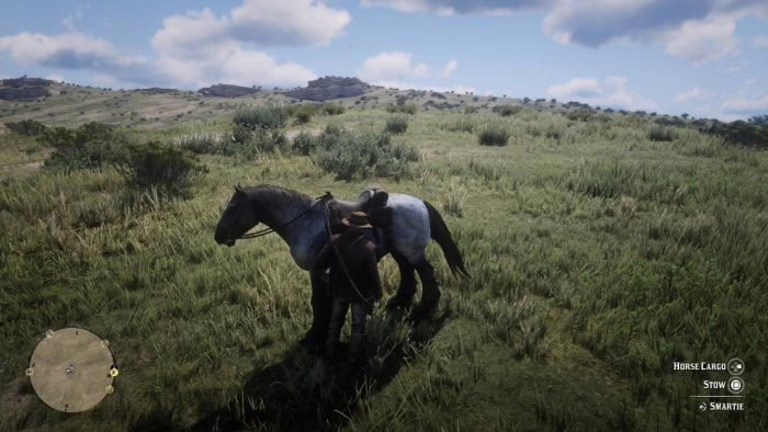 Red Dead Redemption 2 - Cómo obtener pieles perfectas, dónde venderlas y almacenarlas 1