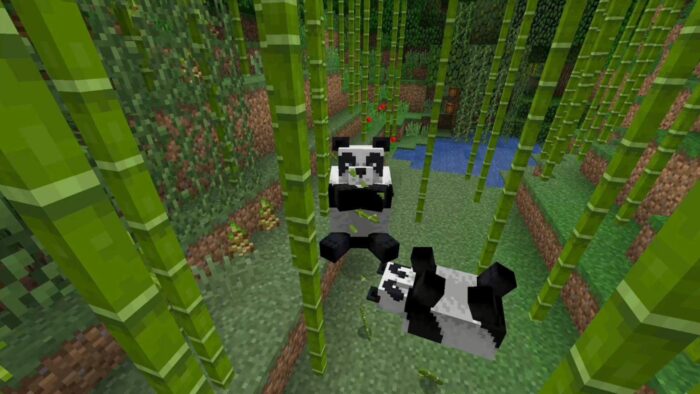 Minecraft - Cómo domesticar Pandas (y criarlos)