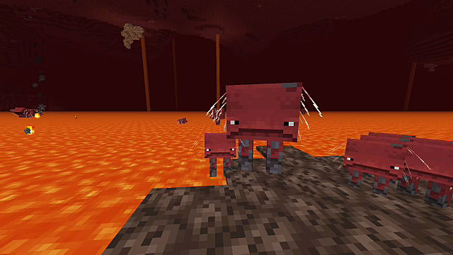 Minecraft - Cómo domar y montar a un Strider (1.16) 1