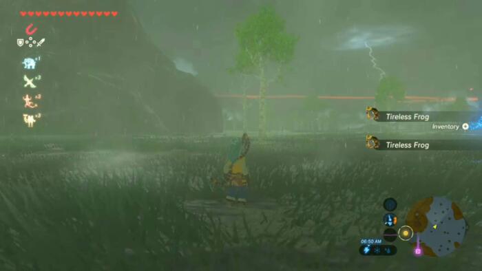 Guía para encontrar ranas incansables en Zelda: Tears of the Kingdom 2